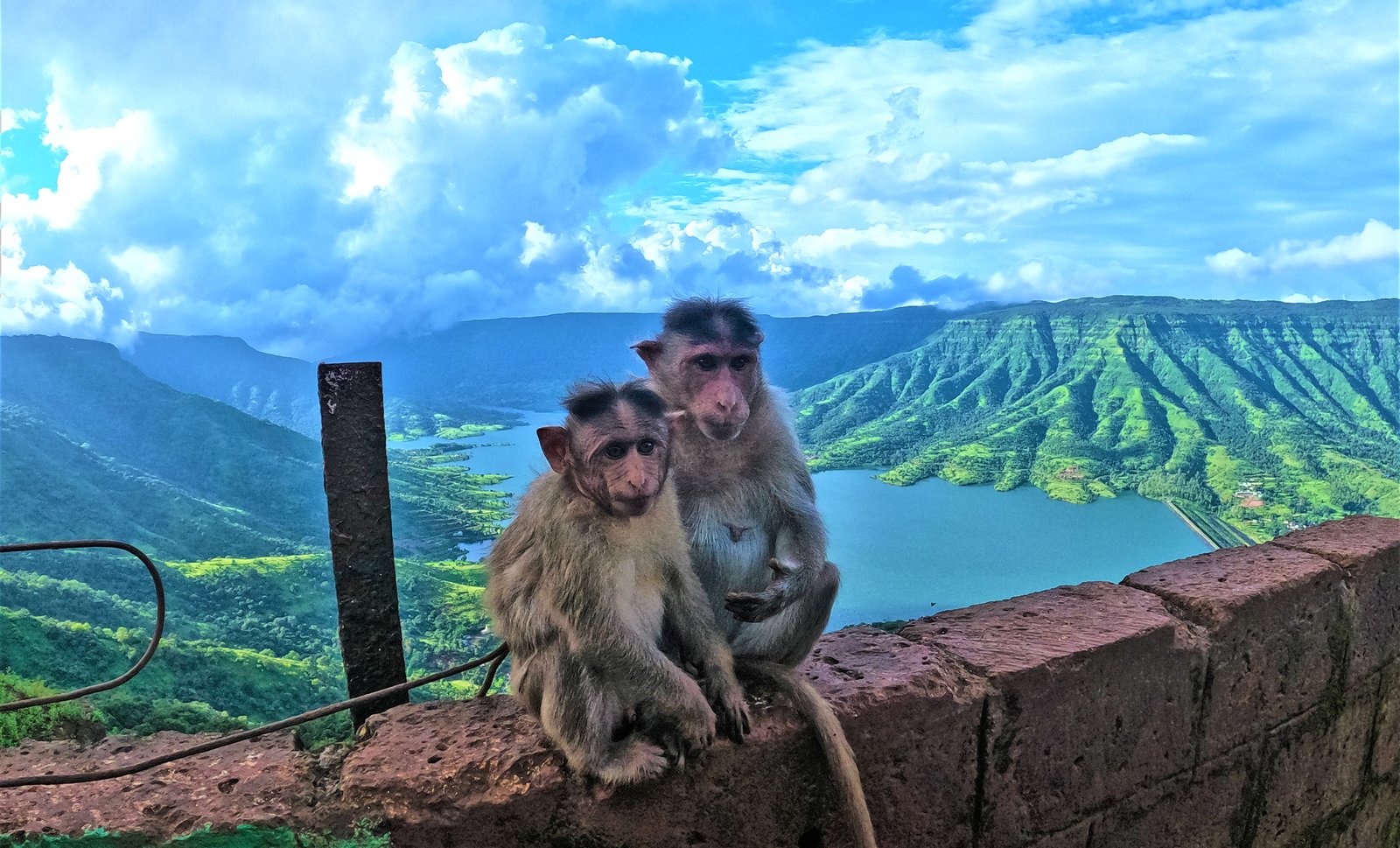 Flexible Travel Plans for Urbania on Rent Mumbai To Mahabaleshwar